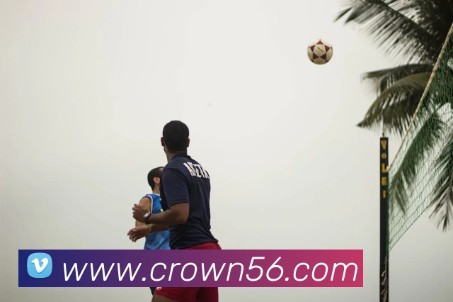 皇冠crown体育平台APP 封面图
